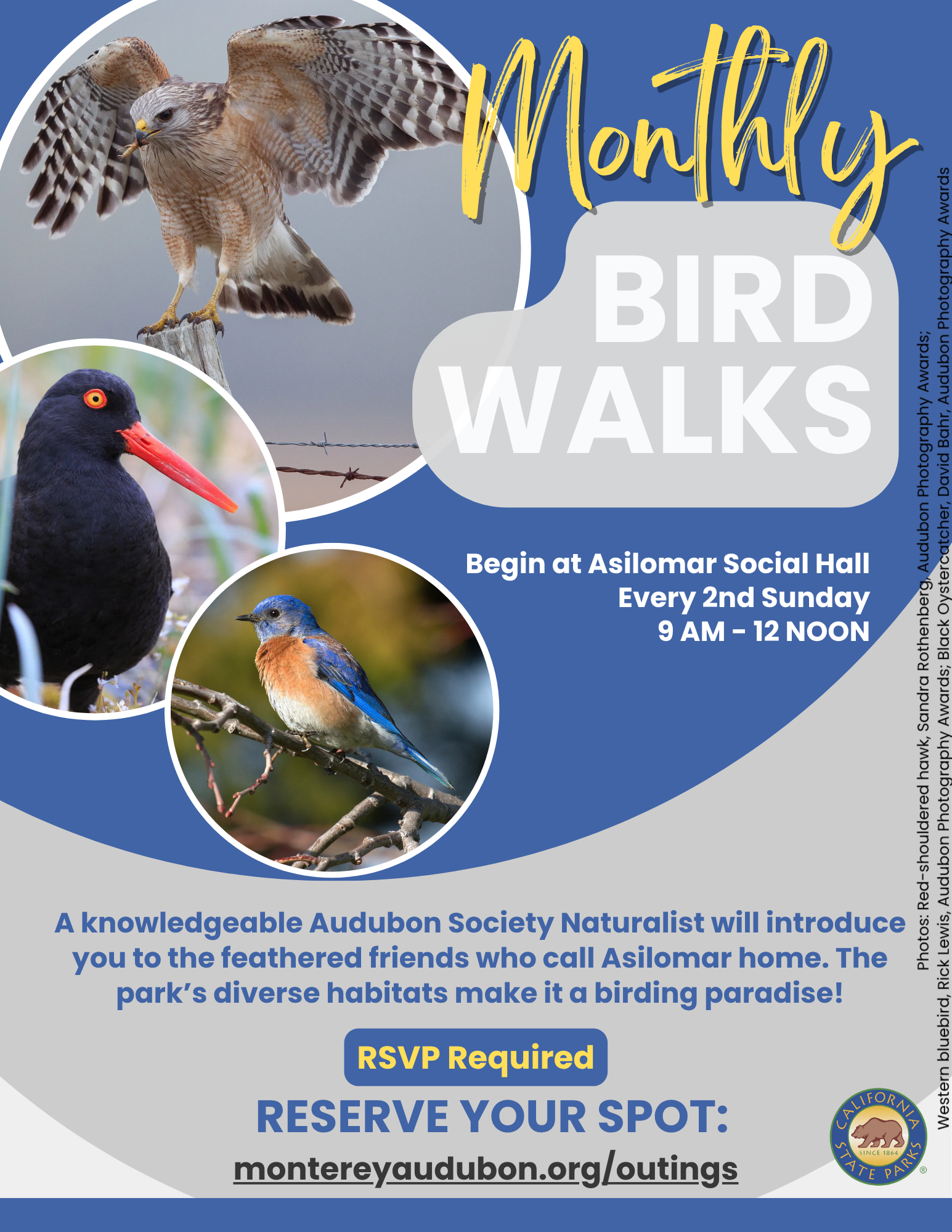 Bird Walk flyer details. Bird Walk flyer details.